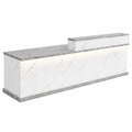 Empfangsschreibtisch im modernen Design, L-förmig, 160 x 60 x 100 cm, ideal für Büro und Klinik